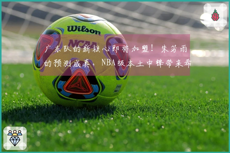 广东队的新核心即将加盟！朱芳雨的预测成真，NBA级本土中锋带来希望！